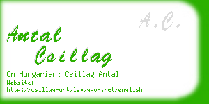 antal csillag business card